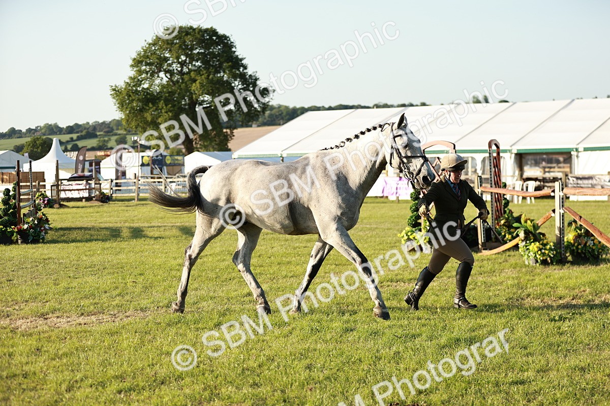 SBM_20558 - Class 117-119 - Sport Horse Working Hunter