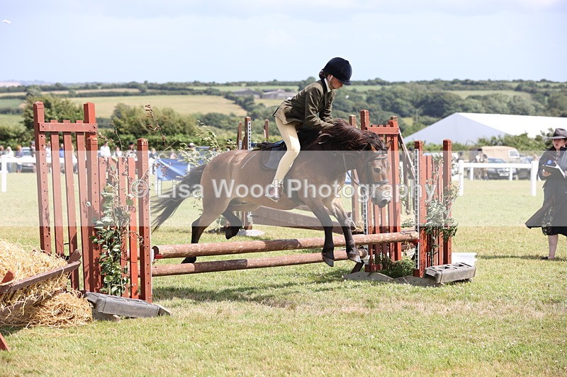 JPP_2029 - Class 19: Working Hunter 60cm