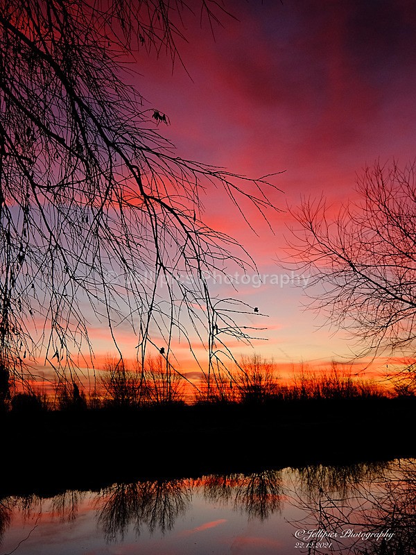  - Landscapes
