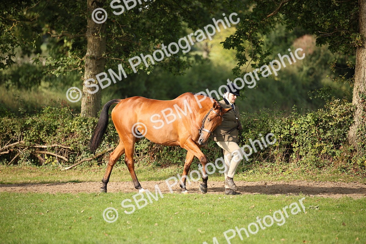 SBM_60051 - S53 - Hunter In Hand