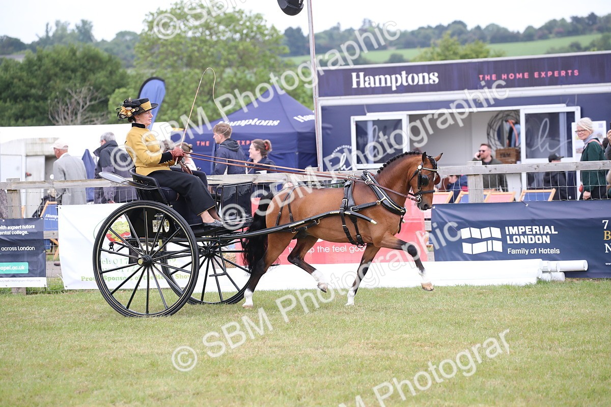 SBM_05825 - Class 12-15 - HOYS Private Driving