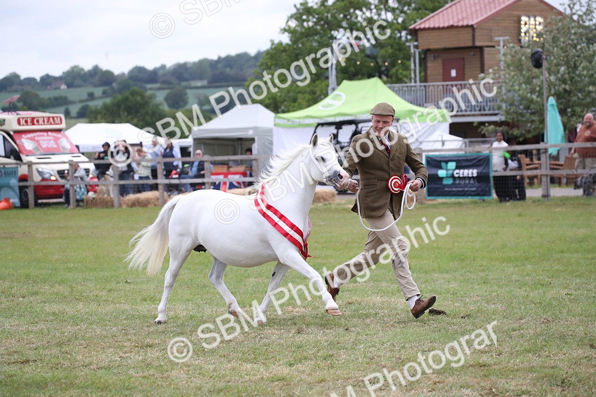 SBM_09906 - Ch 50 - Price Family Supreme In Hand
