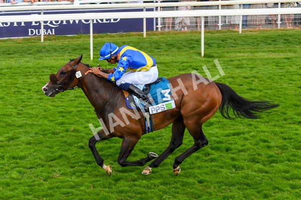 170623-Race 7-The Green Man-1023 - Race 7 5.25pm Clean Up With PPS Handicap