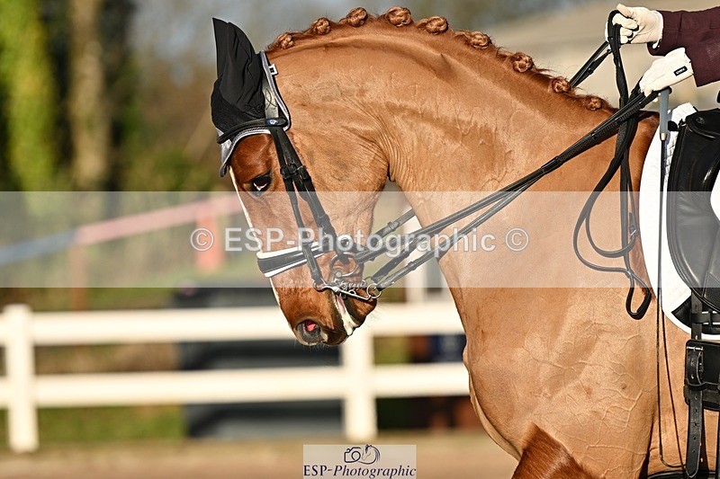 241214-142201-02811 - 112-kelly.jewell-Avalon