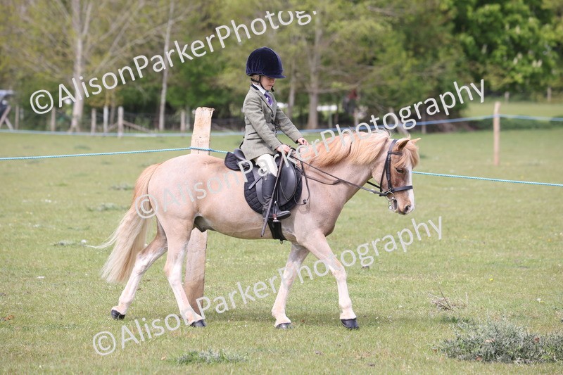 20260426-2909 - Class 33 - Best Pony 14.2hh and Under