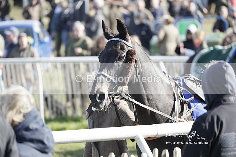 PtP 100423 980 - Old Berkshire Point-to-Point Lockinge 10/04/23