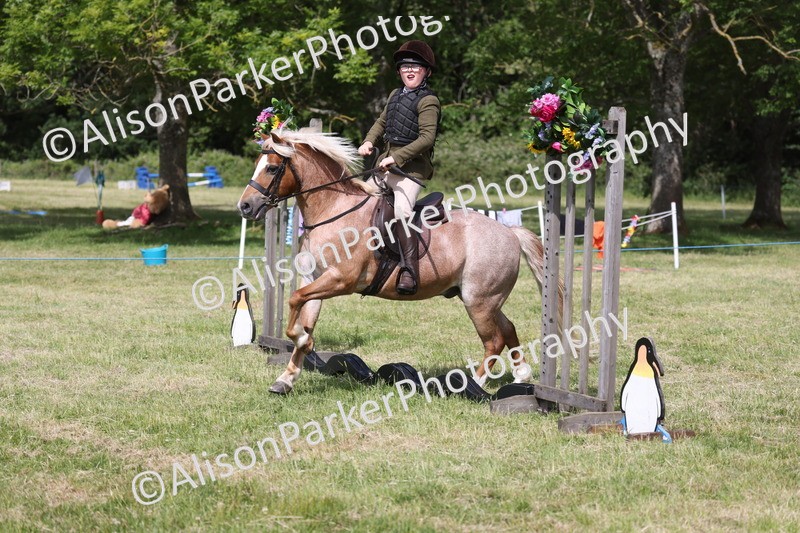 20260614-0750 - Class 20 - Beginners Working Hunter Pony