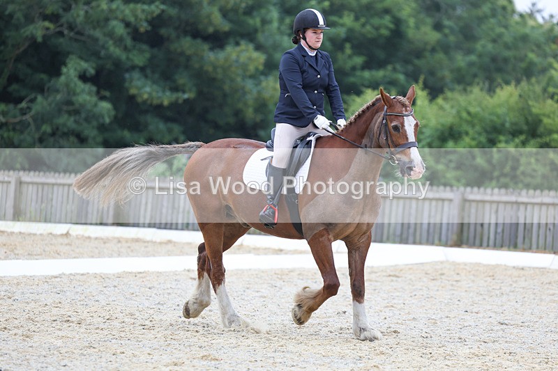 3E7A7993 - Class 1: Intro 3 2024 section A