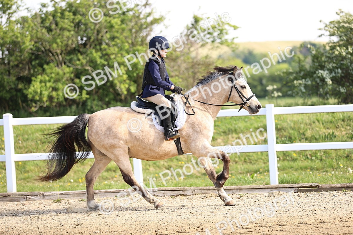 SBM_000173 - class 2 - 50cm