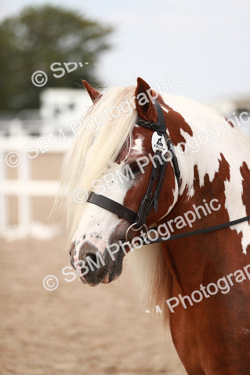 SBM_16715 - Class 214 Ridden Cob