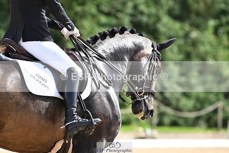 240811-142326-06350 - 165-Emily.Ormerod-FLS.Samphire