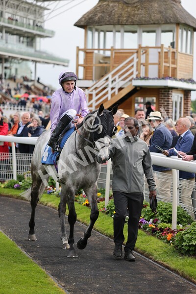 yr11052022r3-9 - Race 3 3.00pm 1895 Duke of York Clipper Logistics Stakes