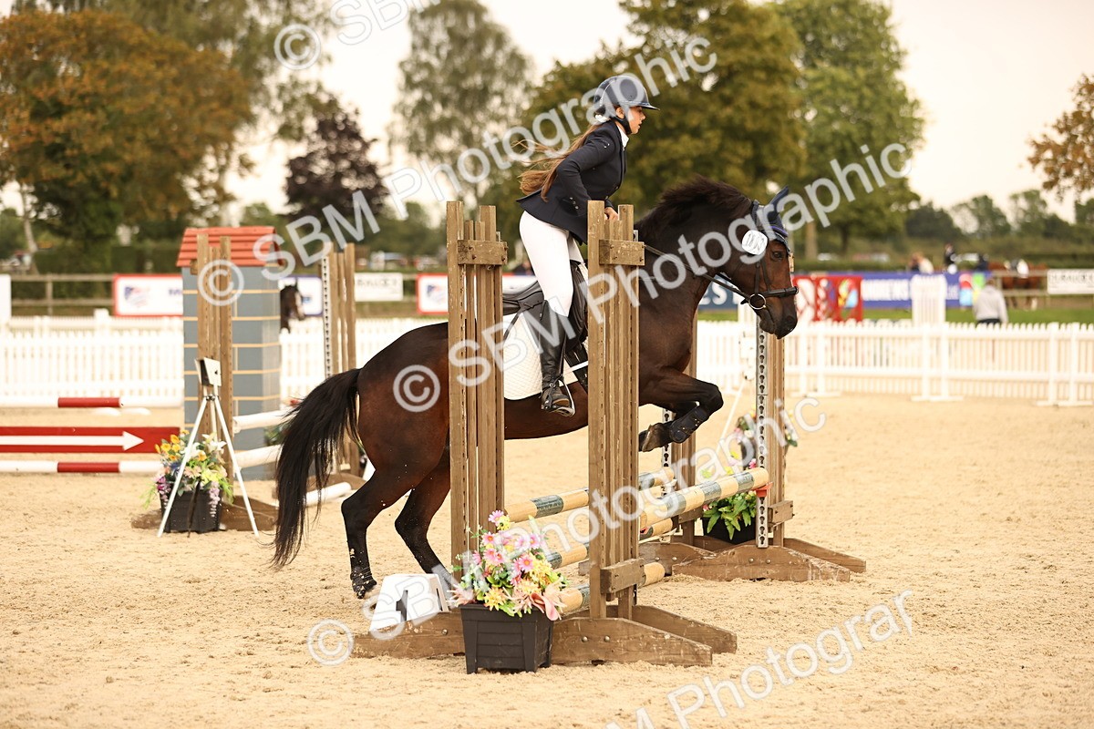 SBM_74330 - J14 - Junior Pony 65cm Championship