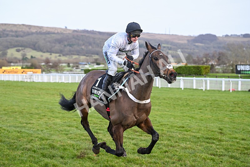 250125-Race 5-Constitution Hill-4733 - Race 5