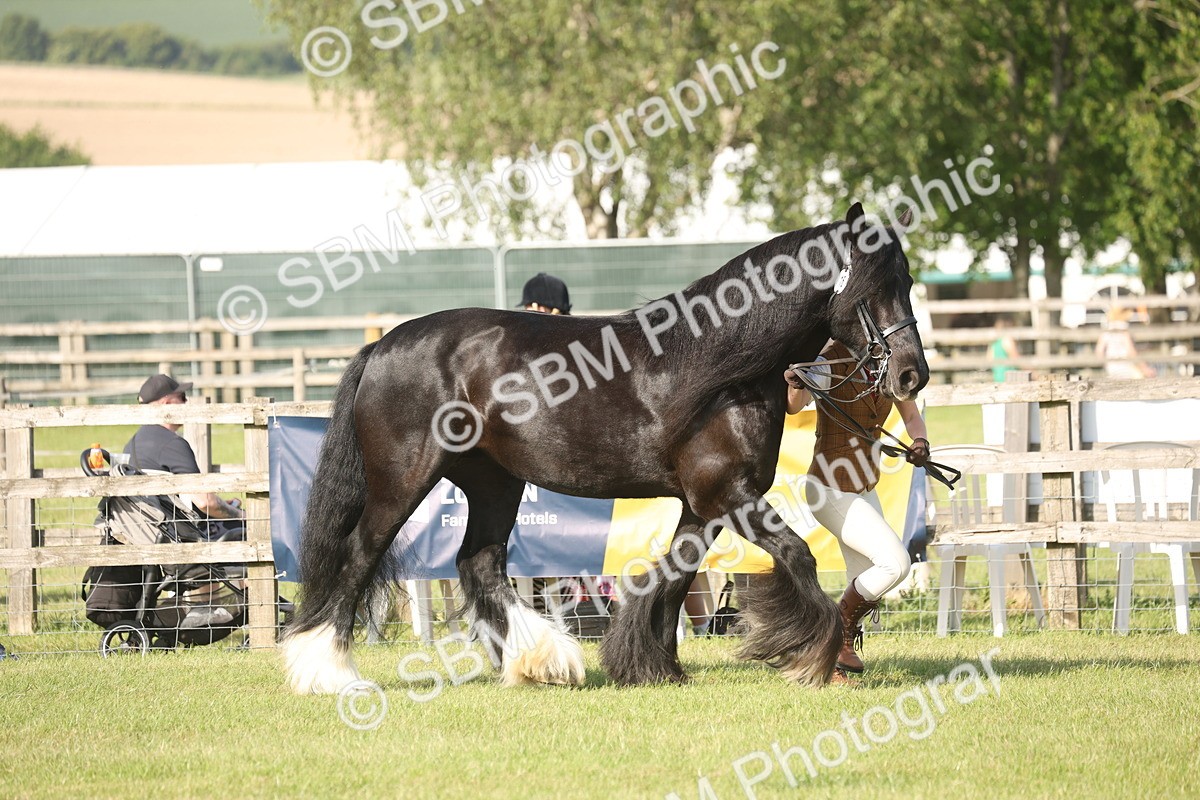 SBM_10372 - Class 33-38 - SSADL RIHS Qualifiers