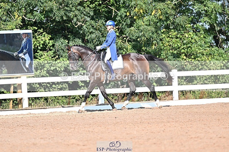 250816-094655-02339 - 012-Natasha.Collings-CostelloDovevale.Tender.Dove