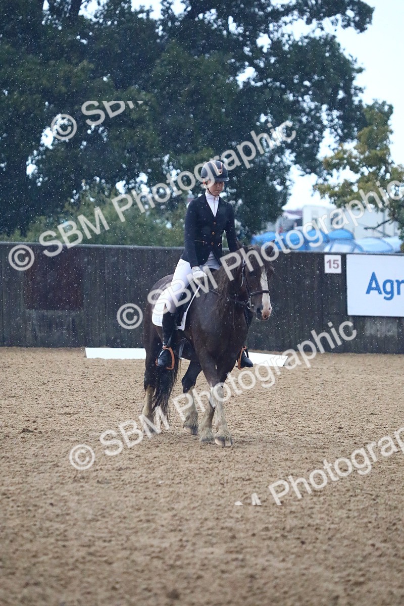 SBM_38841 - D21 - Junior Championship Intro 1
