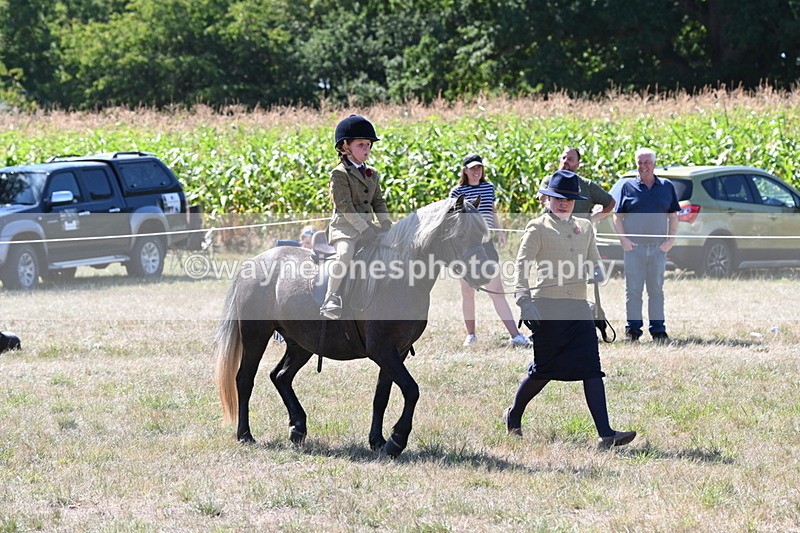 WJ6_7960 - Class 36 Lead Rein