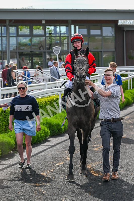 130524-Race 6-Stellarmasterpiece-0969 - Race 6