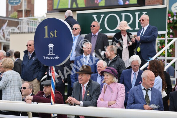 yr11052022r3-47 - Race 3 3.00pm 1895 Duke of York Clipper Logistics Stakes