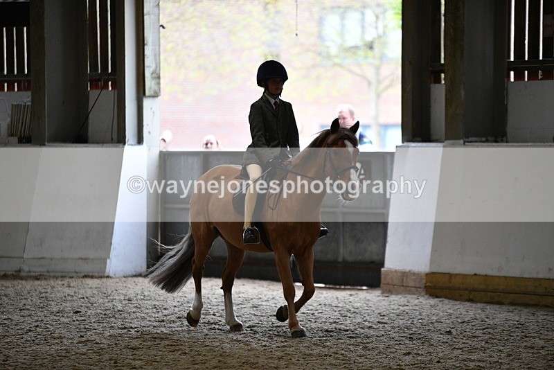 WJ5_6806 - Class 10 Childs Pony