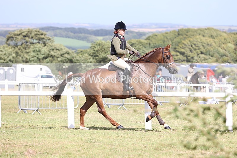 JPP_2557 - Class 20: Working Hunter 70cm