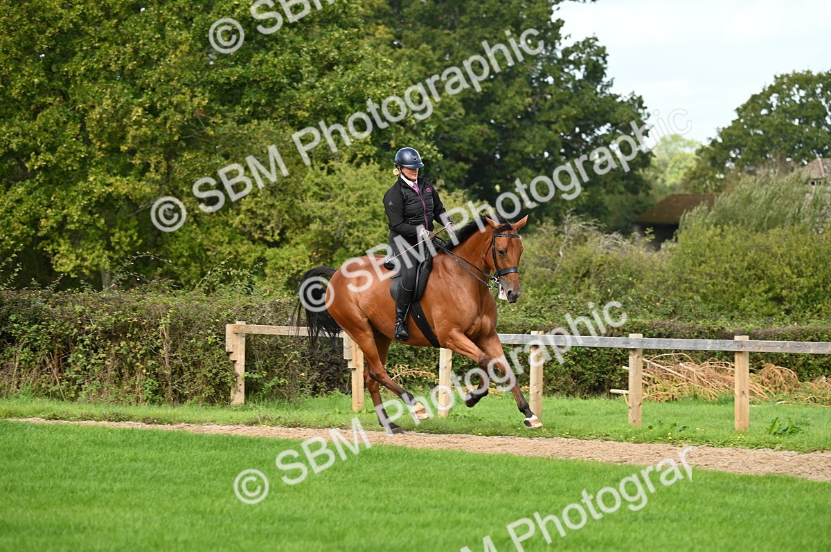 SBM_01987 - S2 - TSR Ridden Horse Showing