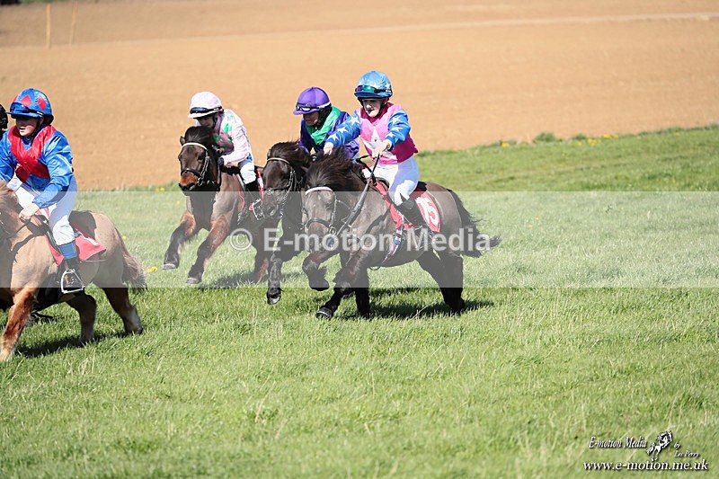 Shet 060426 281 - Shetland Pony Racing Paxford Races Easter Mon 06/04/26