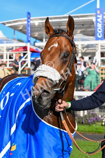 111025-Race 3-Laazm-0397 - Race 3 Coral 'Daily Reward Shaker' For Free Nursery Handicap at York