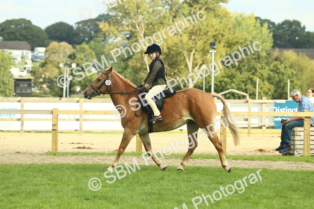 SBM_62489 - S62 - Foreign Breeds Ridden