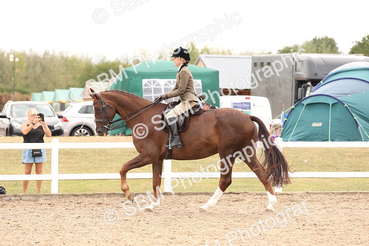 SBM_17241 - Class 213 - Ridden Hunter - Large