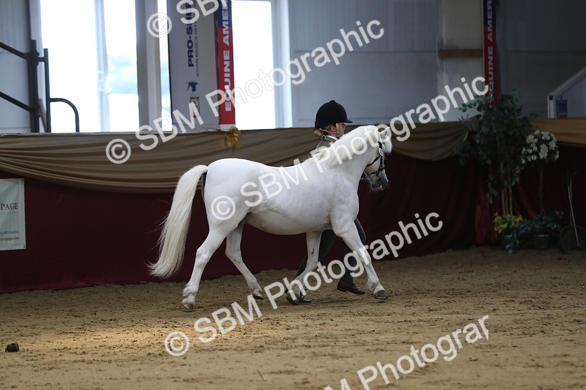 SBM_04932 - Class 8R- Regional -IH Veteran