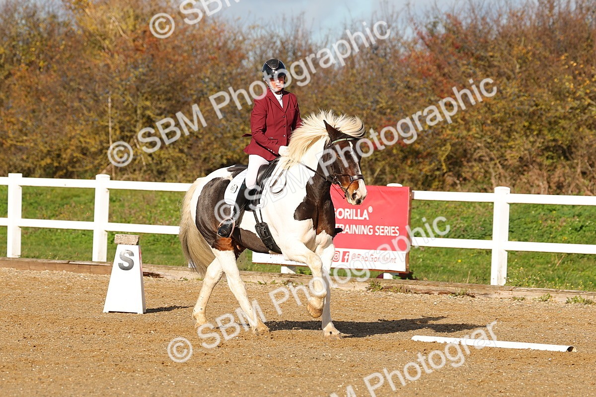 SBM_000592 - Novice 4