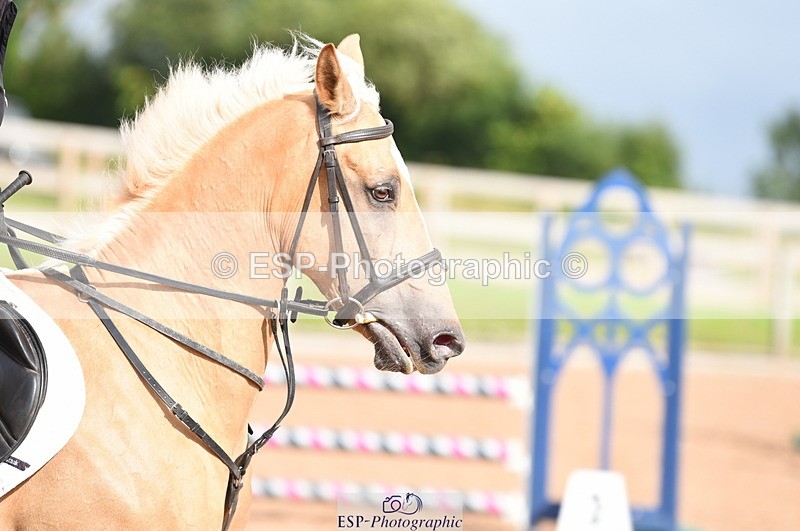 230711A-174240-00326 - 80cm