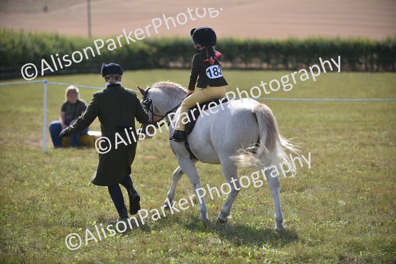 20260906-1775 - Class 11 - 13hh and Under