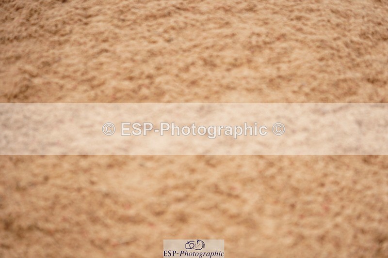 240526A-104720-07634 - Cls 26 Chard Equ 1.05m and 1.10m Grand Prix