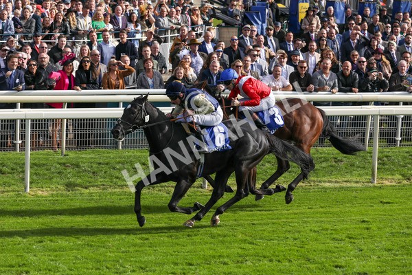 141023-Race 1-Purosangue-0286 - Race 1 1.15pm Coral Rockingham Stakes