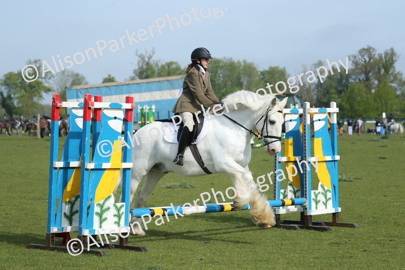 20260426-0139 - Class 13 - Rookie Jumping 50cm