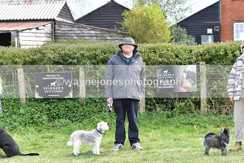 WJ5_0687 - Best in Show Championship