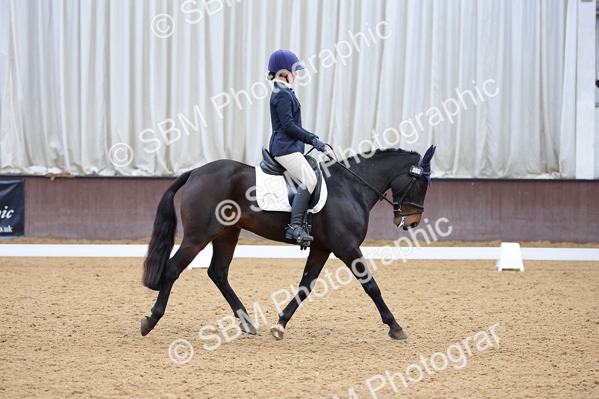 SBM_003119 - Novice