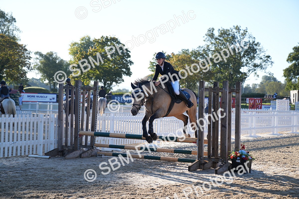 SBM_14031 - J59 - Clear Round - 65cm