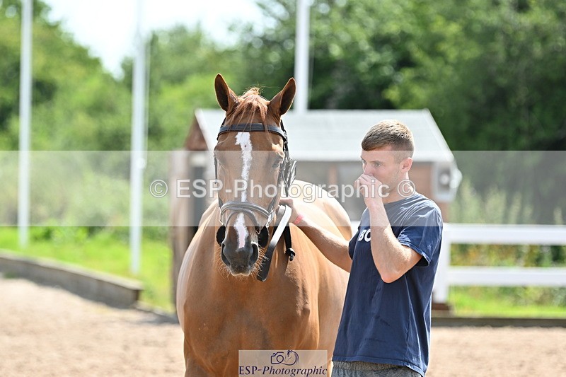 240717A-151223-02641 - Trot Up 3pm to 4pm