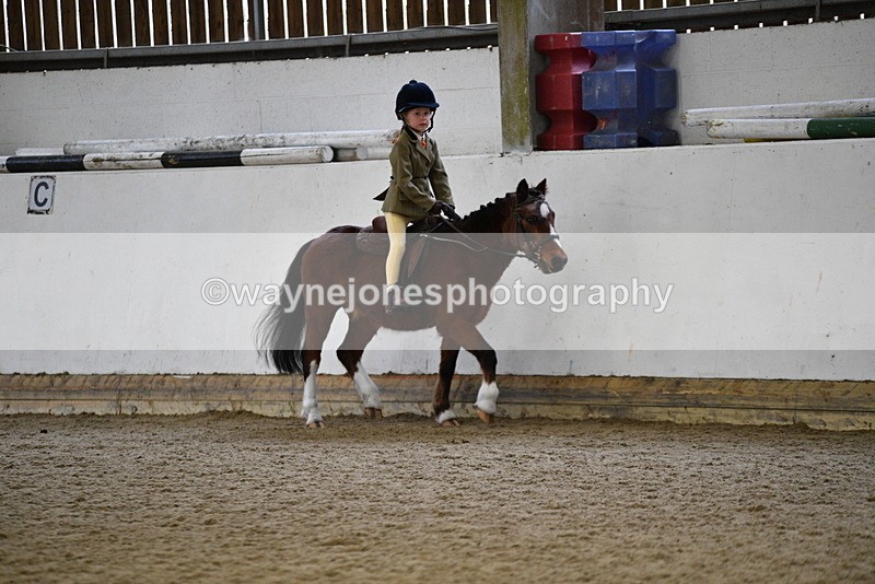 WJ5_6522 - Class 10 Childs Pony