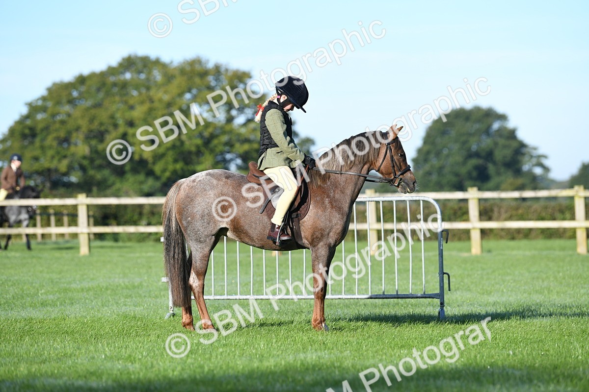 SBM_33957 - S16 - Condition & Turnout - Ridden