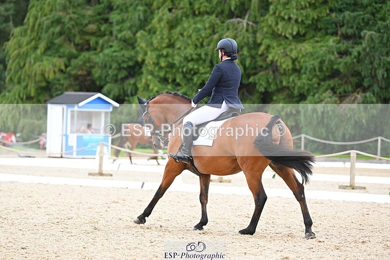 230813-132416-07554 - Cls 13 Medium Bronze 13.15 to End