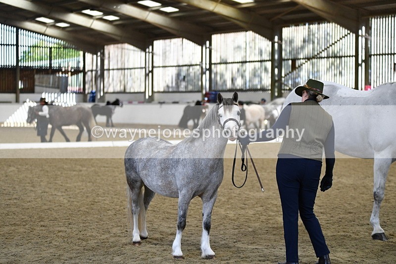 WJ5_4072 - Class 2 Best Condition In hand