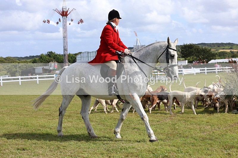 3E7A3406 - Parade of Hounds