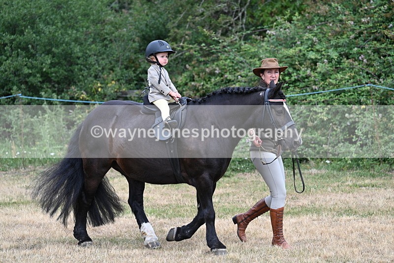 WJ7_9630 - Class 1 Lead Rein Pony