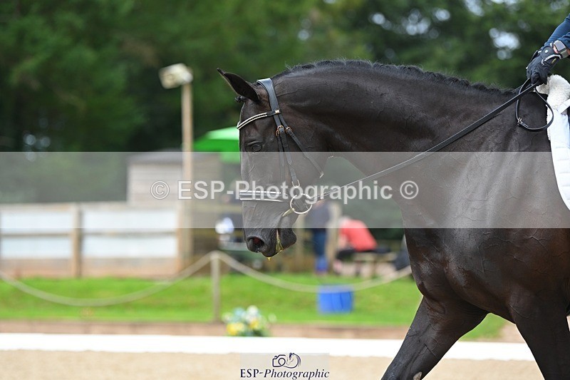 230813-105348-06463 - Cls 12 Elem Silver 10.35 to End