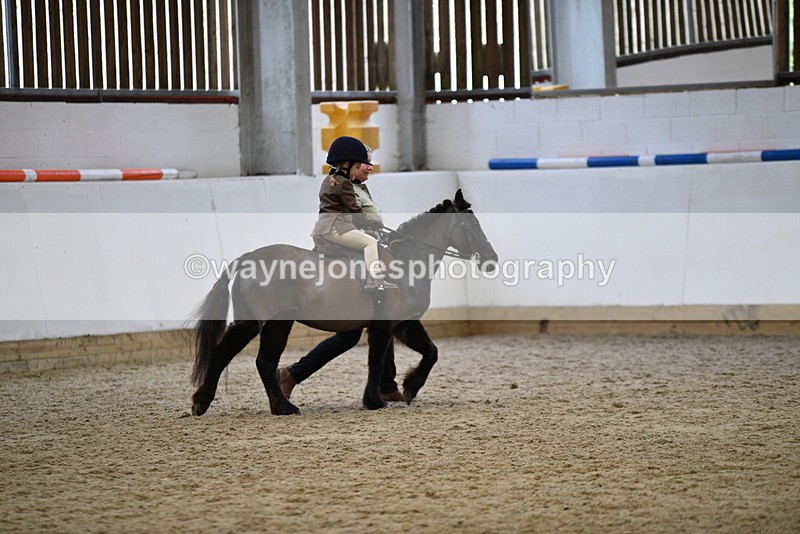 WJ5_6614 - Class 10 Childs Pony